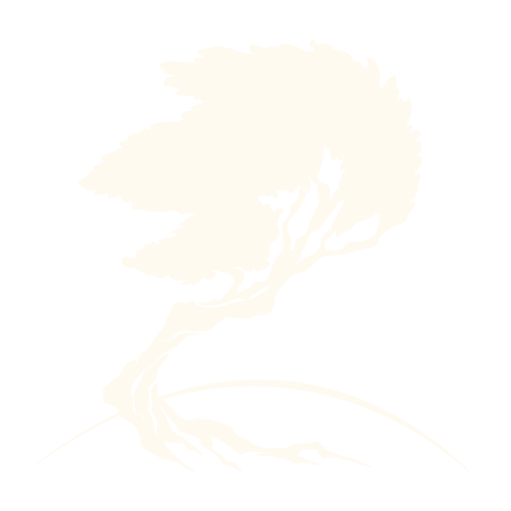 The Archive's Twisted Tree Logo