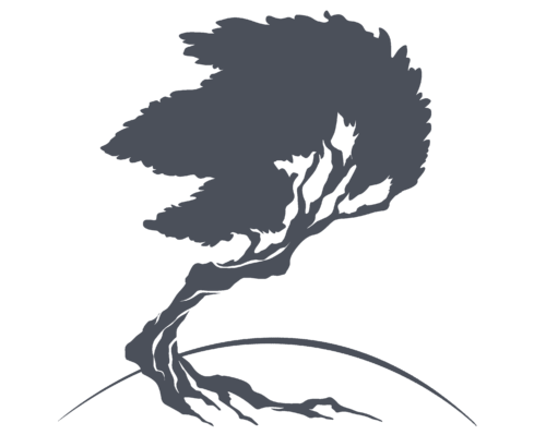 A silhouette illustration of a beautiful gnarled tree, with windswept leaves and a twisted trunk. An elegant line curves near the base of the trunk, while the tree roots nestle against the earth.