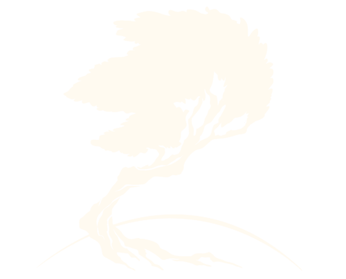 A silhouette illustration of a beautiful gnarled tree, with windswept leaves and a twisted trunk. An elegant line curves near the base of the trunk, while the tree roots nestle against the earth.